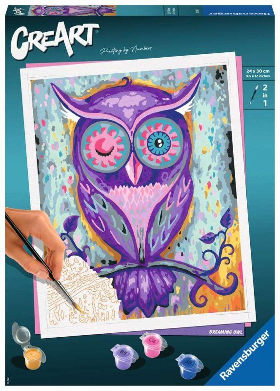 Dreaming Owl Dreaming Owl