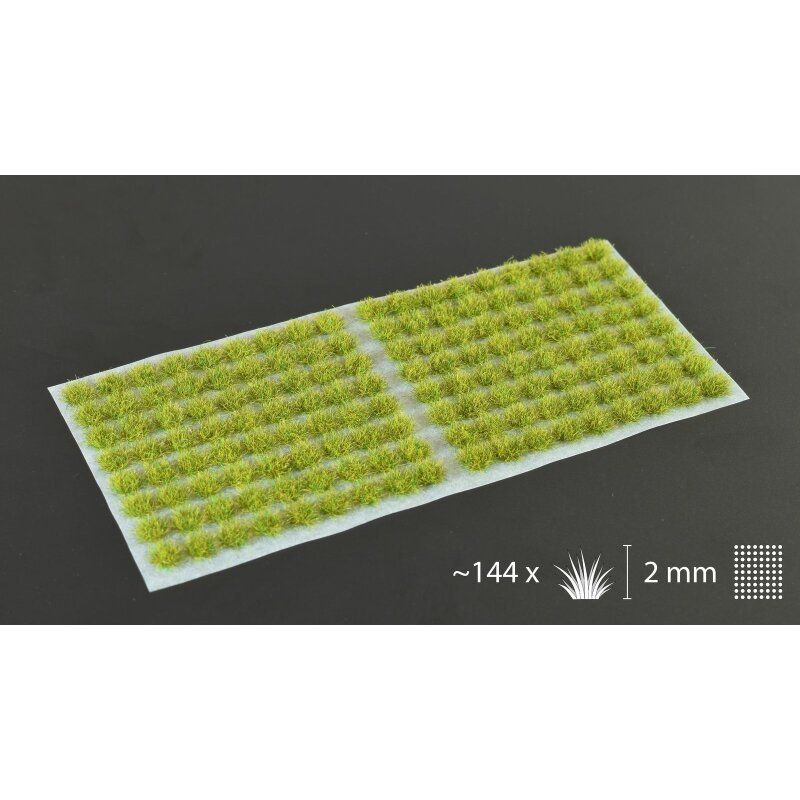 Tufts Moss 2mm Small Tufts Moss 2mm Small