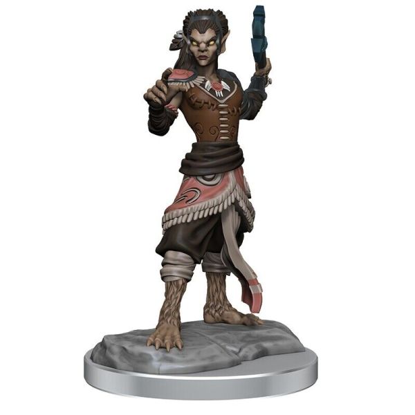Dungeons and Dragons: Nolzur's Marvelous Miniatures - Shifter Fighter