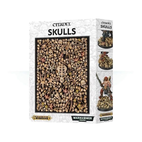 CITADEL SKULLS (64-29)