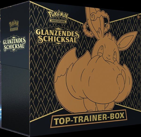 Glänzendes Schicksal Top-Trainer-Box (DEU)