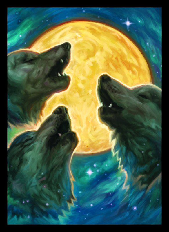 3 Wolf Moon - Matte Sleeves