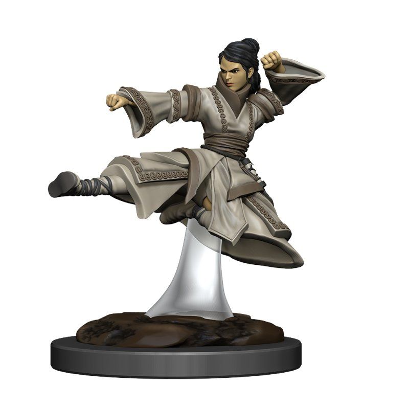 Kill - D&D Female Human Monk Premium Figure Kill - D&D Female Human Monk Premium Figure